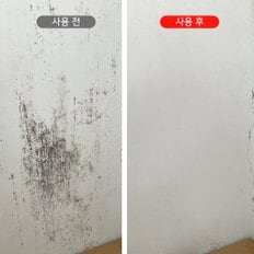 초강력 프리미엄 곰팡이제거제 500ml