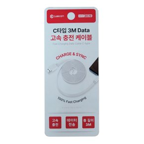 C타입 3M DATA 고속충전 케이블