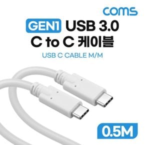 C 케이블 C타입 GEN1 5Gbps M M 100W 0.5M X ( 2매입 )