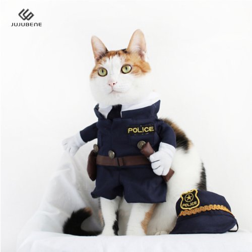 상품이미지2