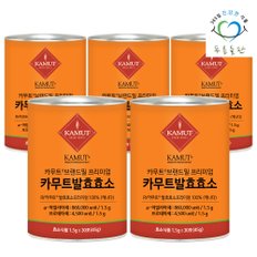 카무트 효소 분말 100 프리미엄 정품 오리지널 1.5gx30포 5통 호라산밀 카뮤트효소