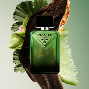 프라다 패러다임 오 드 퍼퓸 50ML