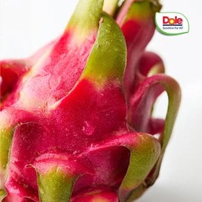 직수입 프리미엄 베트남 Dole 용과 2.5kg 5kg