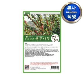 앵두 나무 씨앗 500g . 식물 수목 씨 종자