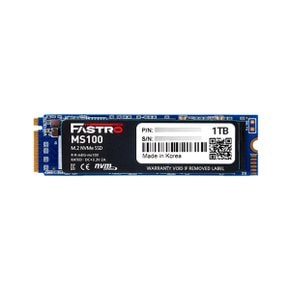 웨이코스 씽크웨이 FASTRO MS100 2280 NVMe SSD 1TB