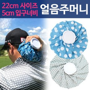 골프 여름 필수품 보냉 EX얼음주머니_P052585111