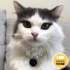 마이펫던트 펫 동물 인식표 강아지 목걸이 고양이 이름표 네임택 애견용품