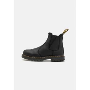 3793402 Dr. Martens 2976 WG UNI - Classic ankle boots black 61224882