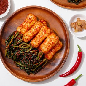 [더조은] 햇살담은 국내산 총각김치 2kg