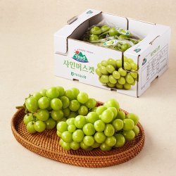 해바른 샤인머스캣 1.5kg