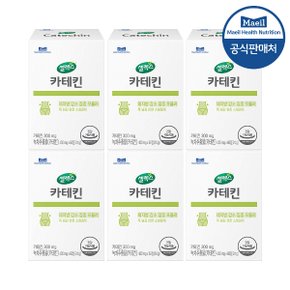 카테킨 6박스 [400mg x 360정] (180일분)