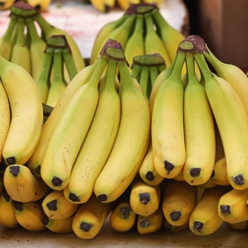 고당도 바나나 13kg (6-9수) 대용량 벌크