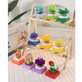 3. 호환블록 다육 ..