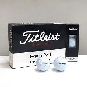 타이틀리스트 PRO V1 골프공 병행