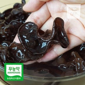 무농약 국내산 프리미엄 생 목이버섯 정품 500g