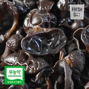 무농약 국내산 프리미엄 생 목이버섯 정품 500g