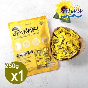 건강하게 달자 레몬생강캔디 250g x 1봉 레몬 생강 사탕 CRLC2501