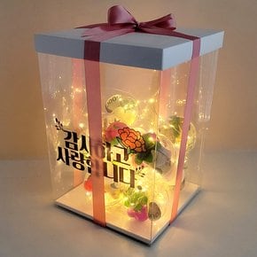 어버이날 용돈박스 효심꽃다발 이벤트 LED 무드등 어버이날선물 생신선물