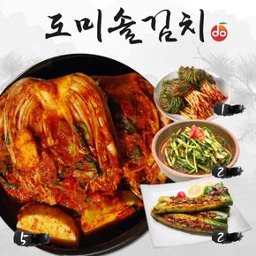 도미솔 맛있는 김치 4종 10kg(포기5kg+오이2kg+열무2kg+파1kg)[34195057]