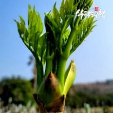 식탐대첩 국내산 참두릅 1kg