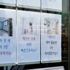 부착식 안내문 게시판 월홀더 a4/a3사이즈