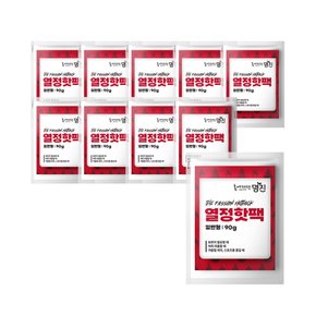 열정 포켓형 핫팩 90g x 10개