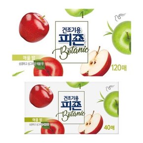 피죤 건조기시트 건조기용 드라이시트 애플밤 120매, 1개 + 40매, 1