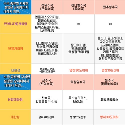 추가이미지5