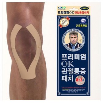 트래블이지 프리미엄 OK관절통증 동전패치8+리필2매