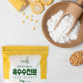 옥수수전분 1kg 자연의 선택
