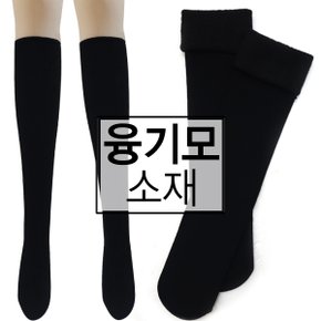 2족세트 두꺼운 여성 판타롱 스타킹 반스타킹 골지스타킹_P378813270