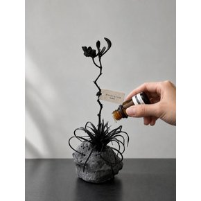[Black Stone Flower Diffuser] 아티피셜 플라워 오브제 + 디퓨저 세트