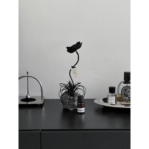 [Black Stone Flower Diffuser] 아티피셜 플라워 오브제 + 디퓨저 세트