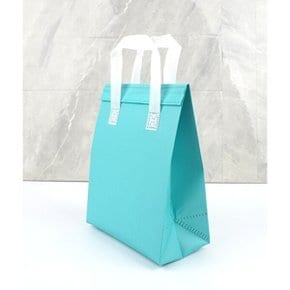 다양한사이즈 예쁜 컬러 손잡이 보온보냉백 일자 소 중 대 특대 선물 포장 도시락 빙수 가방