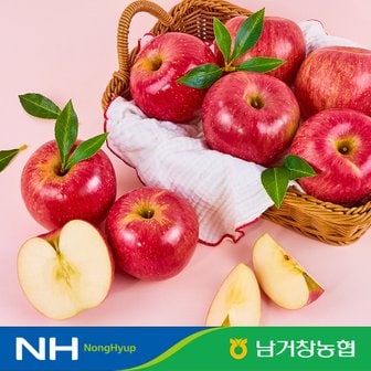 맛딜 아삭달콤한 거창 꿀사과 2.5kg(소과)12-15과 내외