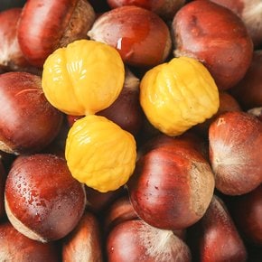 [산지직송] 국내산 공주 햇 밤 꿀밤 1kg (중)