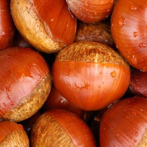 [산지직송] 국내산 공주 햇 밤 꿀밤 1kg (중)