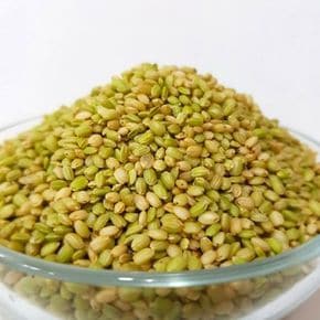 국내산 찰녹미 1kg