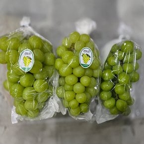 경상북도 고당도 샤인머스켓 샤인머스캣 포도 1kg (2-3수)