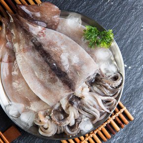 [태평양수산] 김영조의 간편 손질오징어 1.5kg (10마리내외)