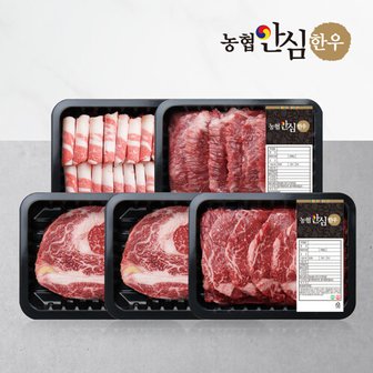 농협 [농협안심한우] 1등급 한우 오마카세 구이세트 1kg