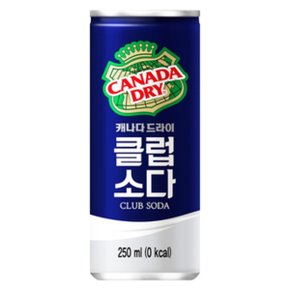 캐나다드라이 클럽소다 250ml x 30캔