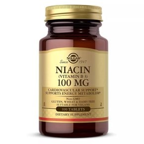 니아신 비타민 B3 100 mg 100 정