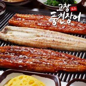 [수협인증] 고창 풍천 민물장어 1kg 2미 (손질)