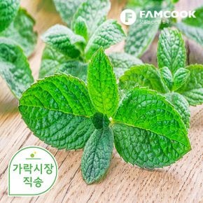 가락시장직송 애플민트 500g 내외