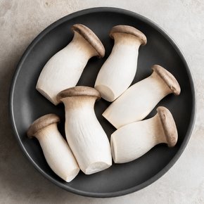국내산 통통한 새송이버섯 2kg
