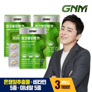 GNM자연의품격 징코빌로바11 3박스 / 은행잎추출물 비타민B 아연 판토텐산