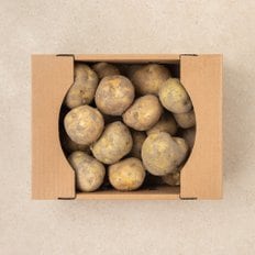  유명산지 감자 (2kg/박스)