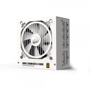 SKULL 750XM 풀모듈러 ATX3.1 80PLUS골드 화이트