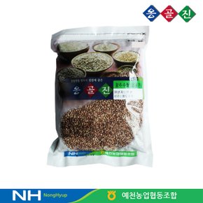 예천농협 옹골진 국내산 잡곡 수수쌀 500g